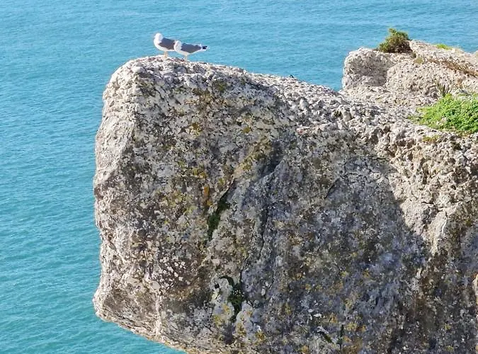 White Swell By Sitio Da アパート *