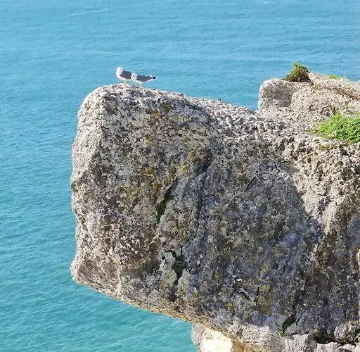 White Swell By Sitio Da ナザレ